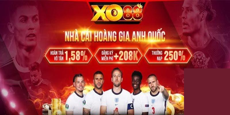 Ngay sau khi đăng ký thành sẽ được chuyên gia hỗ trợ